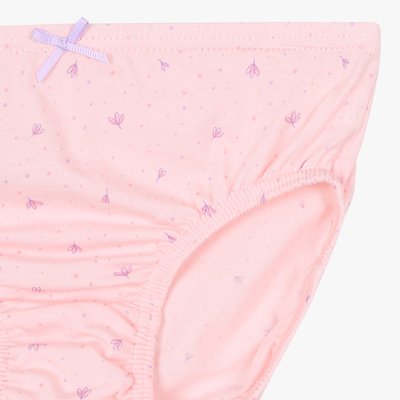 Culotte - Entête - Two_tone -